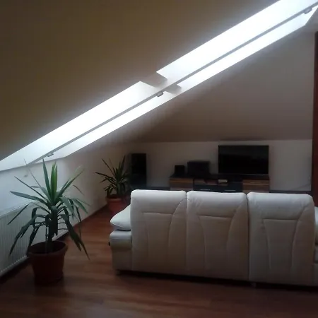 公寓 Apartament Lesna