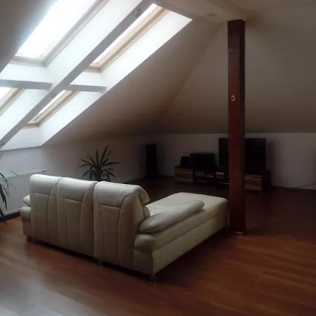 公寓 Apartament Lesna
